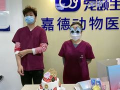 -宠颐生嘉德动物医院