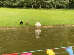 -黄兴公园
