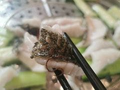 桑拿丝瓜皖鱼-阿多私房菜(顺德店)