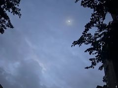 -杭州半山国家森林公园