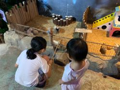 -酷嗒动物文化乐园(cutezoo西溪乐天城店)