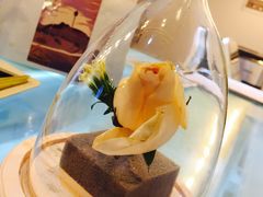 -COFFELIZ COFFEE