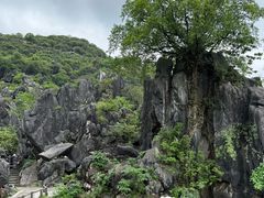 -玉石林风景区