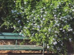 -奥林匹亚宙斯神庙