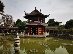 -碧江金楼