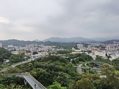 -福道