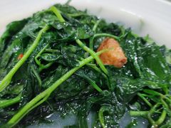 辣椒叶-华南师范大学石牌校区陶园