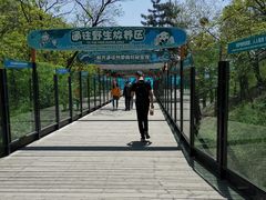 -大连森林动物园