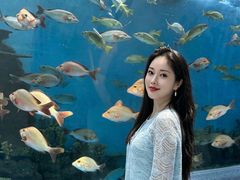 -合肥海洋世界