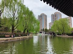 -团结湖公园