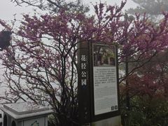-庐山风景区花径公园