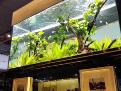 -大家乐(江门汇悦城店)