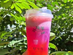 -绿小院(荔湾店)