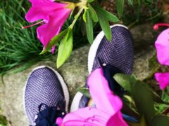 -南岳衡山风景名胜区-南岳大庙