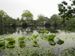 -无锡蠡湖国家湿地公园-蠡园