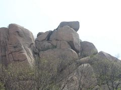 -鲁山国家森林公园