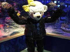 -成都泰迪熊博物馆