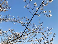 -盘龙城国家考古遗址公园