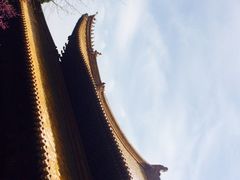 春-普陀山风景名胜区-法雨禅寺