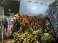 -陕西自然博物馆