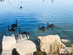 -天津东丽湖风景区