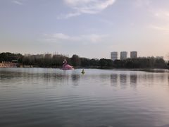 -青枫公园