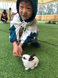 -萌宠亲子动物乐园(槐房万达店)