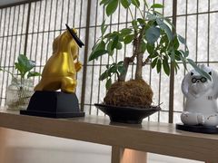 -长风拨筋养身(金虹桥店)