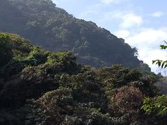 -黄埔油麻山森林公园