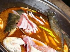 鲶鱼-肥鱼屯活鱼锅(惠工街店)