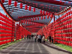 -北京凤凰岭