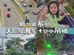 -圣淘沙天际线斜坡滑车