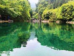 -石台牯牛降景区