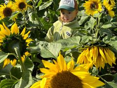 -汉长安城未央宫国家考古遗址公园