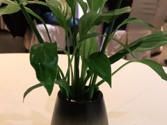 -眉州东坡(通州店)