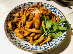 -裕.鹅庄