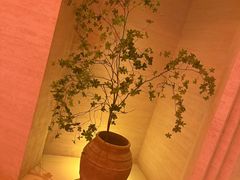 -舒小悦·舒养SPA·古法推拿(光环中心店)