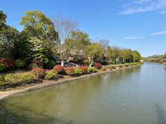 -上海海湾国家森林公园