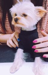 -LEILEI NAIL蕾蕾美甲美睫