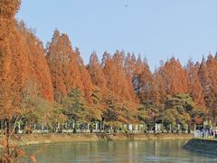 -蜀绣公园