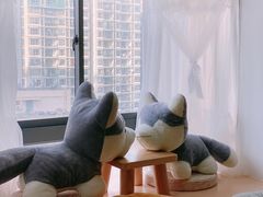 -Husky Go! 哈士奇体验馆·宠物咖啡厅狗咖