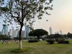 -万绿园