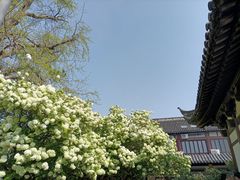 -常熟方塔园