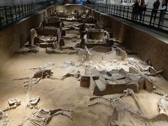 -洛阳周王城天子驾六博物馆