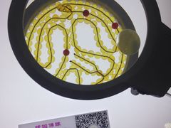 -上海昆虫博物馆