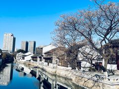 -青果巷历史文化街区