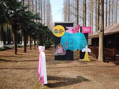 -黄海国家森林公园