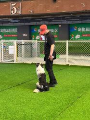 -酷嗒动物文化乐园(cutezoo西溪乐天城店)