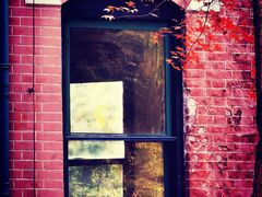 -北京动物园-畅观楼