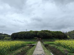 -八卦田遗址公园
